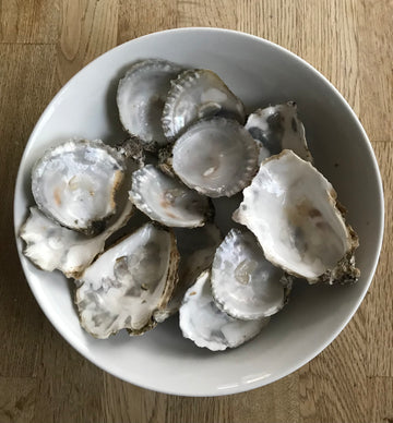 They have arrived - Native Oysters 2021
