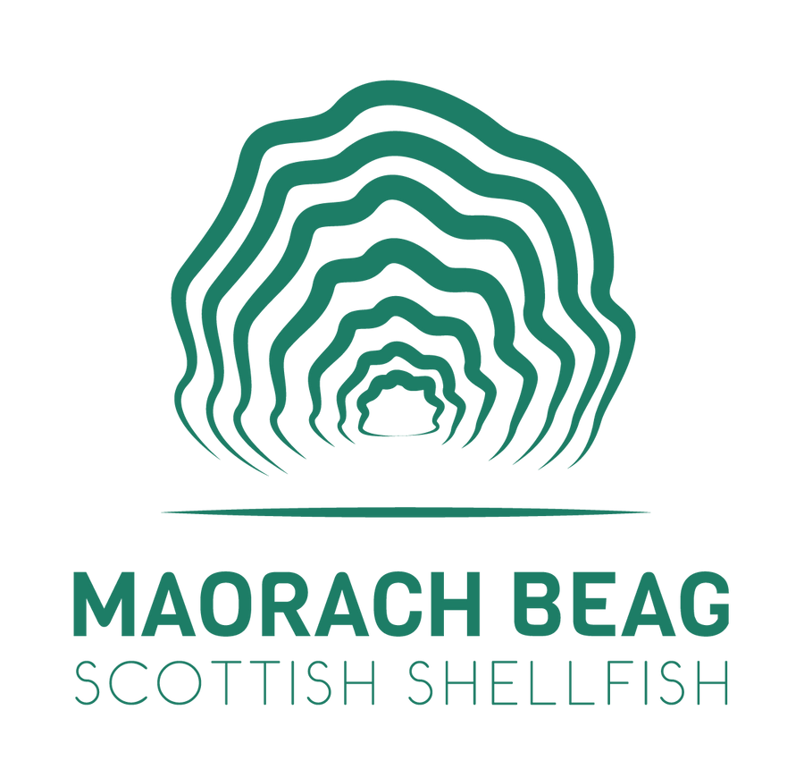 The Return of Maorach Beag