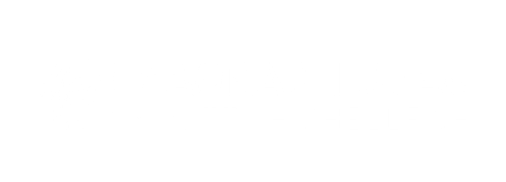 Maorach Beag Scottish Shellfish. Native oysters and Rock Oysters from Wester Ross, Scotland