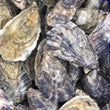 Load image into Gallery viewer, Our Rock Oyster (Gaelic: Eisear Cloiche) grown on our farm in An Loch Beag (Little Loch Broom), Wester Ross, Scotland.