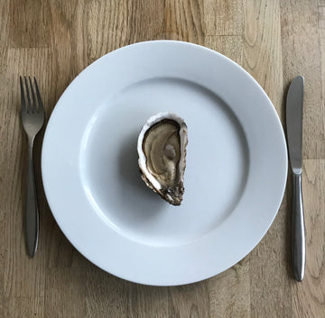 Can you eat oysters all year round and when are they at their best?