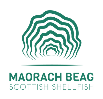 The Return of Maorach Beag